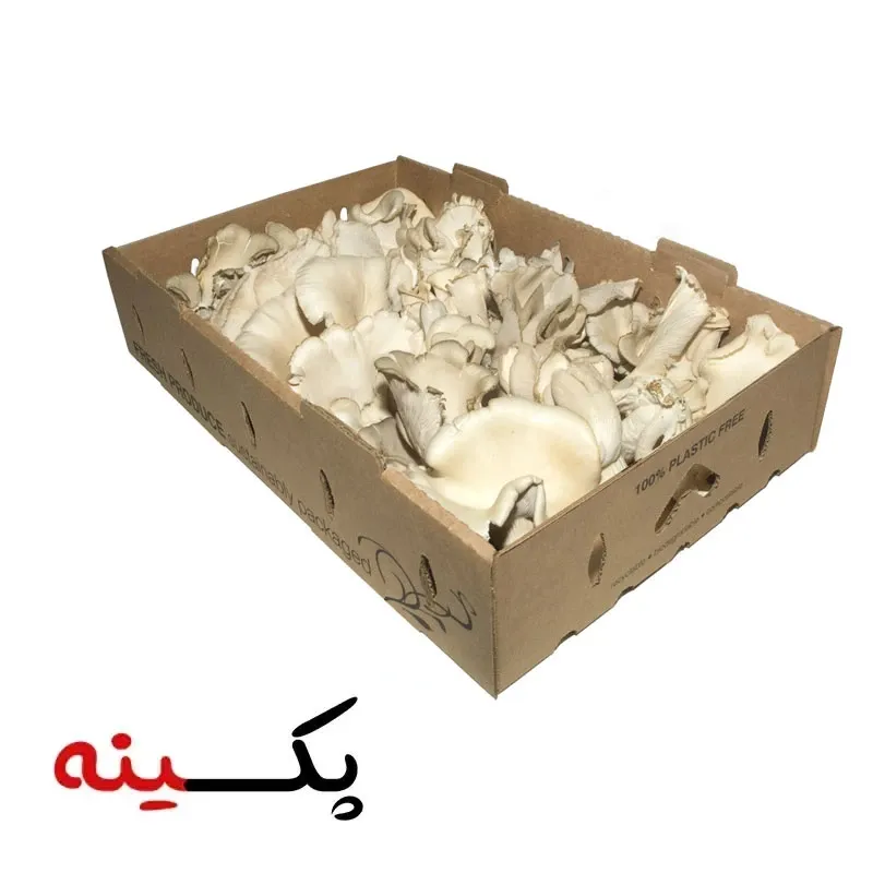 کارتن بسته بندی قارچ | قیمت و ابعاد کارتن قارچ