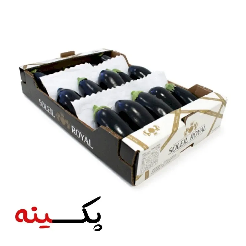 کارتن بسته بندی بادمجان | صادراتی | قیمت تولید